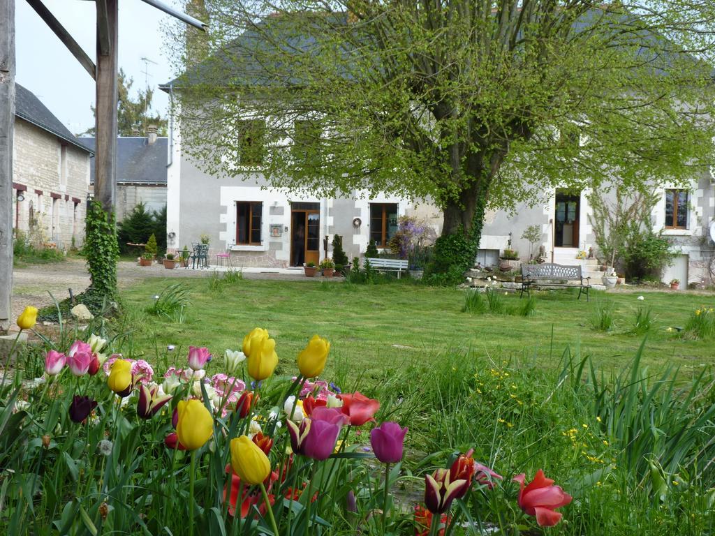 La Cle Des Jardins Nouâtre Exterior foto