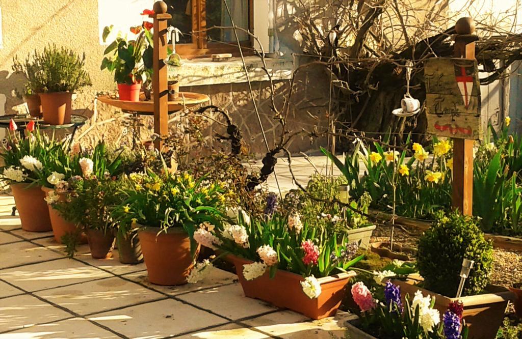 La Cle Des Jardins Nouâtre Exterior foto